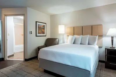Photo 3 - Sonesta Simply Suites Dallas Richardson