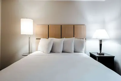 Photo 4 - Sonesta Simply Suites Dallas Richardson
