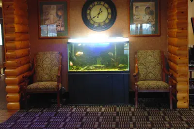 Photo 3 - American Inn and Suites Houghton Lake