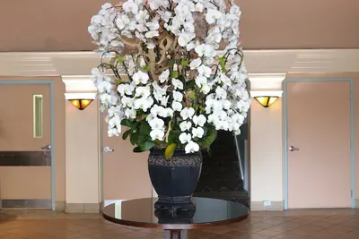 Photo 3 - Hotel Carmel