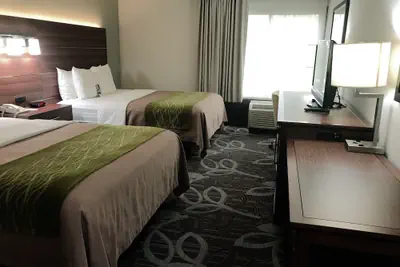 Photo 5 - Comfort Inn Anaheim Resort