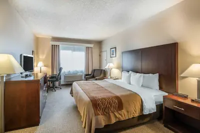 Photo 5 - Comfort Inn & Suites Seattle North