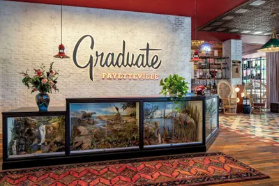 Photo 4 - Graduate by Hilton Fayetteville AR