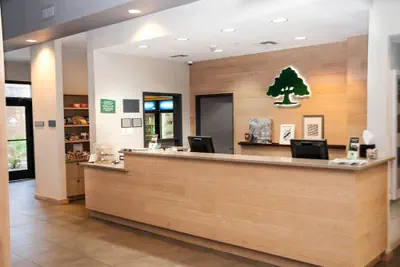 Photo 4 - GreenTree Inn & Suites Phoenix Sky Harbor