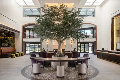 Photo 5 - Casa Mani Resort Napa Valley, Curio Collection by Hilton