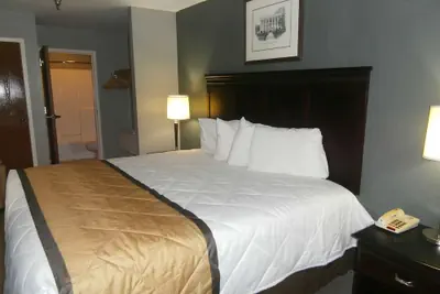 Photo 3 - Americas Best Value Inn Athens, GA
