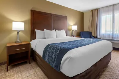 Photo 5 - Comfort Inn & Suites Alameda at Albuquerque Balloon Fiesta Park