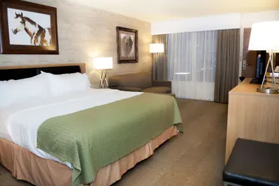 Photo 4 - Holiday Inn Spearfish - Convention Center by IHG