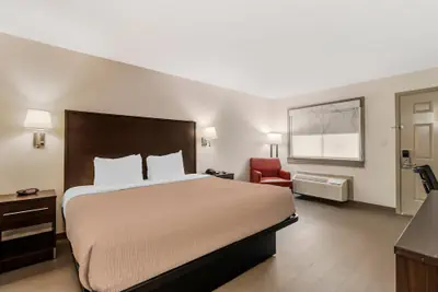Photo 4 - Quality Inn & Suites I-10 near Fiesta Texas