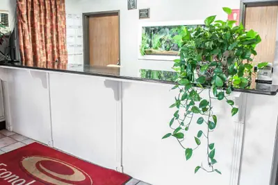 Photo 3 - Econo Lodge Las Cruces University Area
