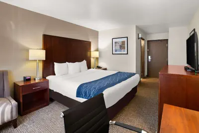 Photo 5 - Comfort Inn Lacey - Olympia