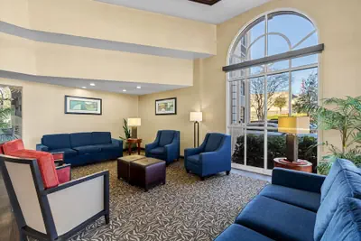 Photo 4 - Comfort Inn & Suites Lakeland North I-4