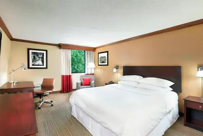 Photo 4 - Four Points by Sheraton Asheville Downtown