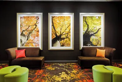 Photo 3 - Sheraton Springfield Monarch Place Hotel
