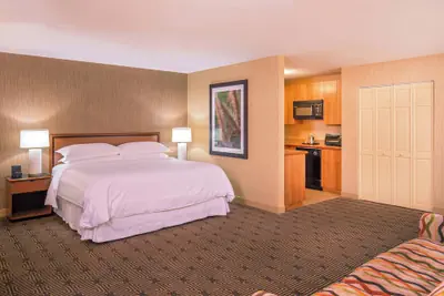 Photo 5 - Sheraton Springfield Monarch Place Hotel