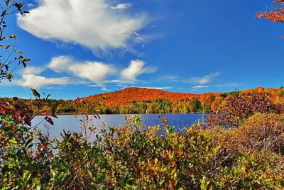 Photo 3 - Mountain Lake Inn