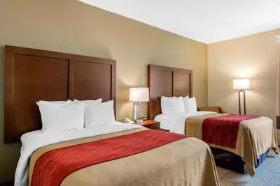 Photo 4 - Comfort Inn Chester - Richmond South
