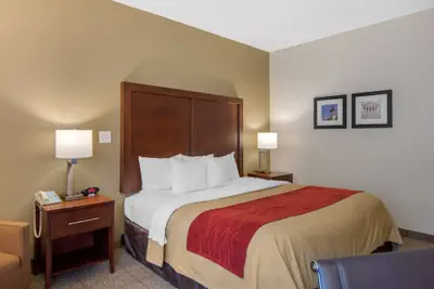 Photo 5 - Comfort Inn Chester - Richmond South