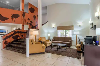 Photo 5 - Sleep Inn Sarasota North