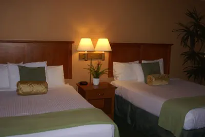 Photo 5 - Miracle Springs Resort & Spa