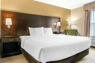 Photo 5 - Quality Inn & Suites Monroe