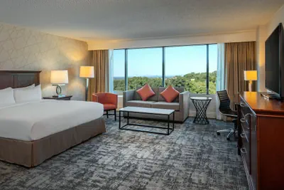 Photo 4 - Hilton Greenville