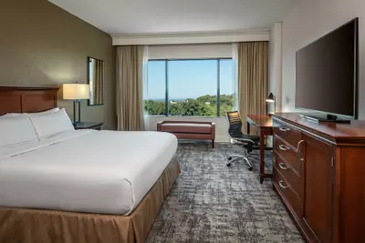 Photo 3 - Hilton Greenville