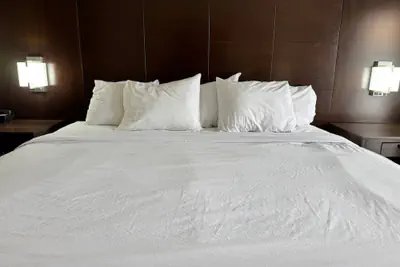 Photo 3 - Quality Inn & Suites Tuscaloosa near University