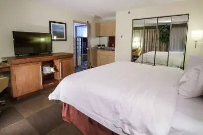 Photo 5 - Hampton Inn South Haven