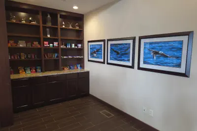 Photo 4 - MainStay Suites LeClaire - Quad Cities
