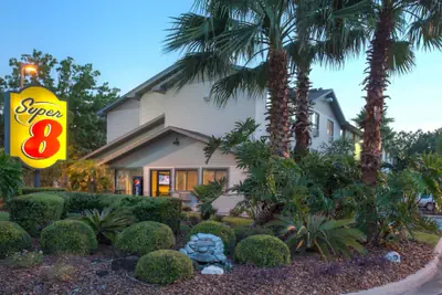 Photo 2 - Super 8 by Wyndham Gainesville I-75 Hospital University Area