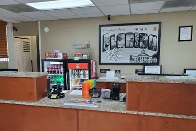 Photo 4 - Super 8 by Wyndham Ocala I-75