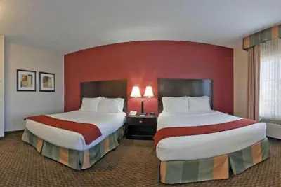 Photo 3 - Holiday Inn Express Hotel & Suites Pleasant Prairie-Kenosha by IHG