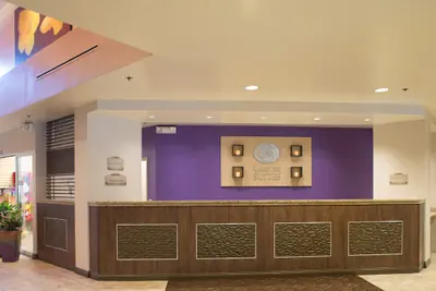Photo 3 - Comfort Suites Maingate East