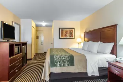 Photo 5 - Comfort Inn Birmingham - Irondale
