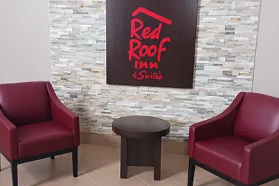 Photo 4 - Red Roof Inn & Suites Jackson - Richland