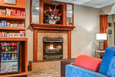 Photo 3 - Comfort Suites Lombard - Addison