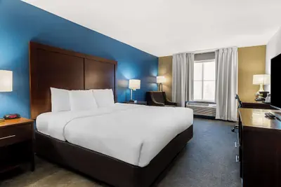 Photo 5 - Comfort Inn & Suites near Tinley Park Amphitheater