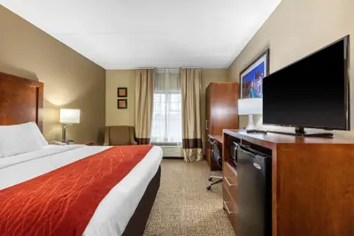 Photo 2 - Comfort Inn & Suites Hamilton Place