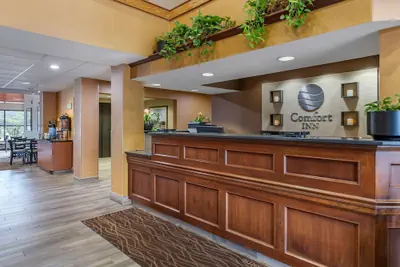 Photo 5 - Comfort Inn Okemos - East Lansing