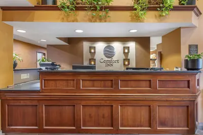 Photo 3 - Comfort Inn Okemos - East Lansing
