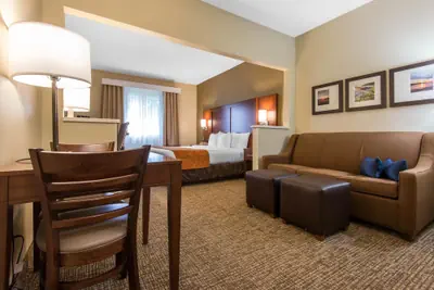 Photo 5 - Comfort Suites Rochester Henrietta University Area