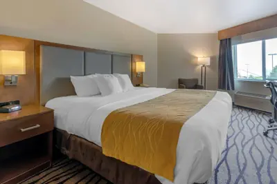 Photo 4 - Comfort Inn & Suites Market - Airport