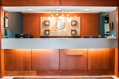 Photo 3 - Comfort Inn & Suites Hamburg - Buffalo South