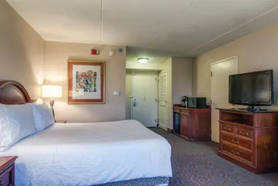 Photo 5 - Hilton Garden Inn Detroit Metro Airport