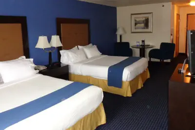 Photo 4 - Holiday Inn Express & Suites New Buffalo by IHG
