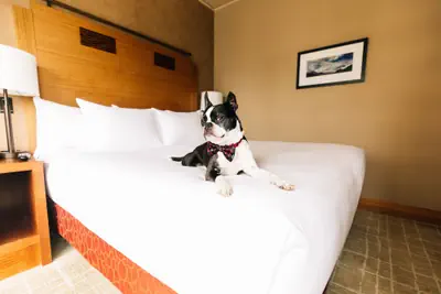 Photo 3 - Grand Hyatt Seattle