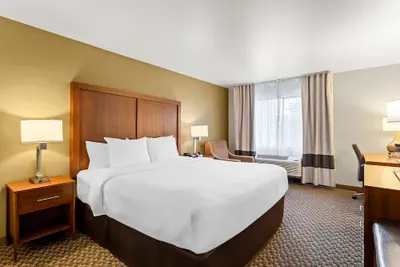 Photo 5 - Comfort Inn & Suites Midtown