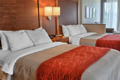 Photo 5 - Comfort Inn Ruther Glen near Kings Dominion