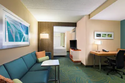 Photo 5 - SpringHill Suites by Marriott Austin South